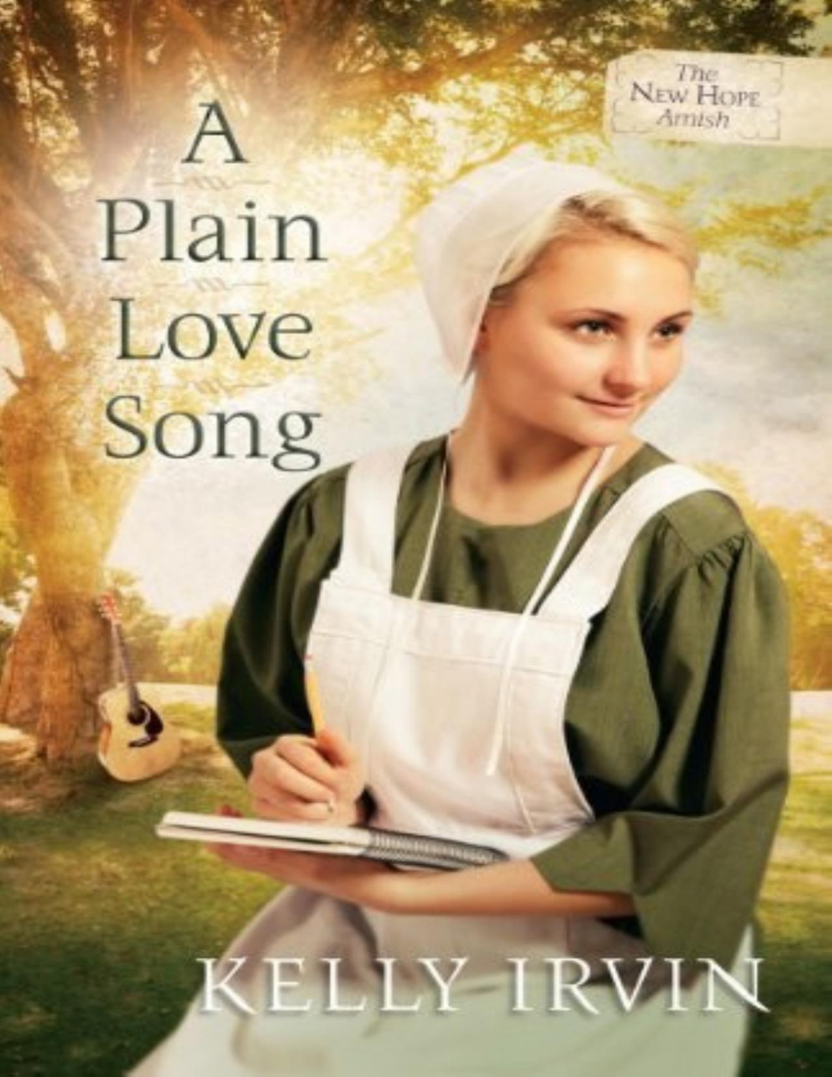 A Plain Love Song Kelly Irvin