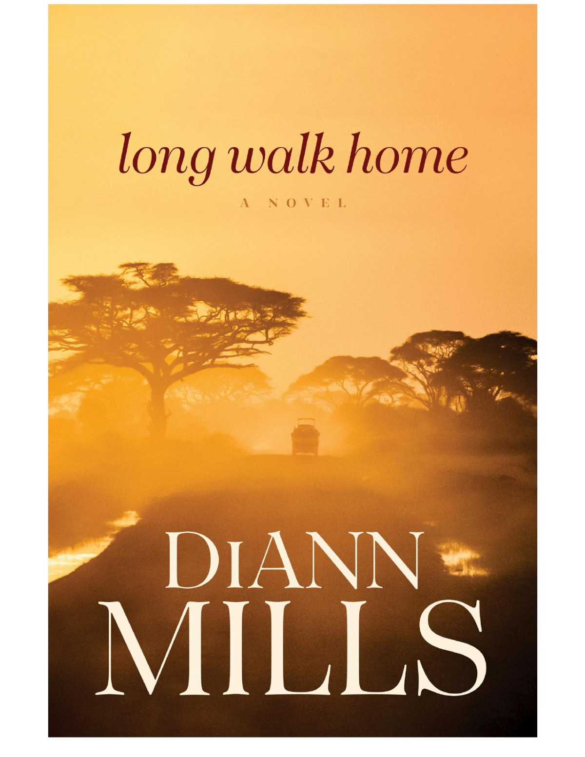 Long Walk Home Diann Mills