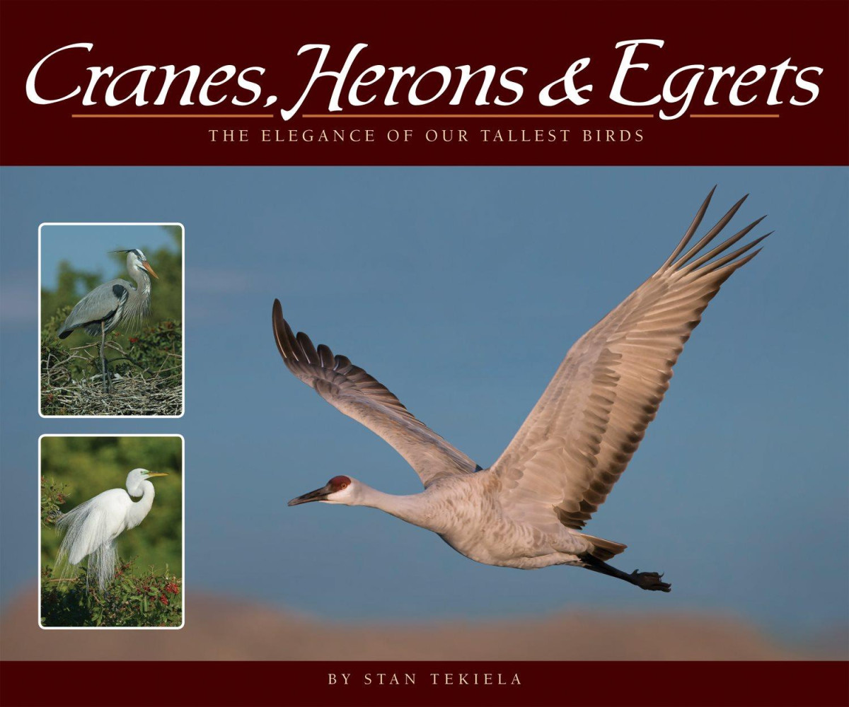 Cranes Herons Egrets Stan Tekiela