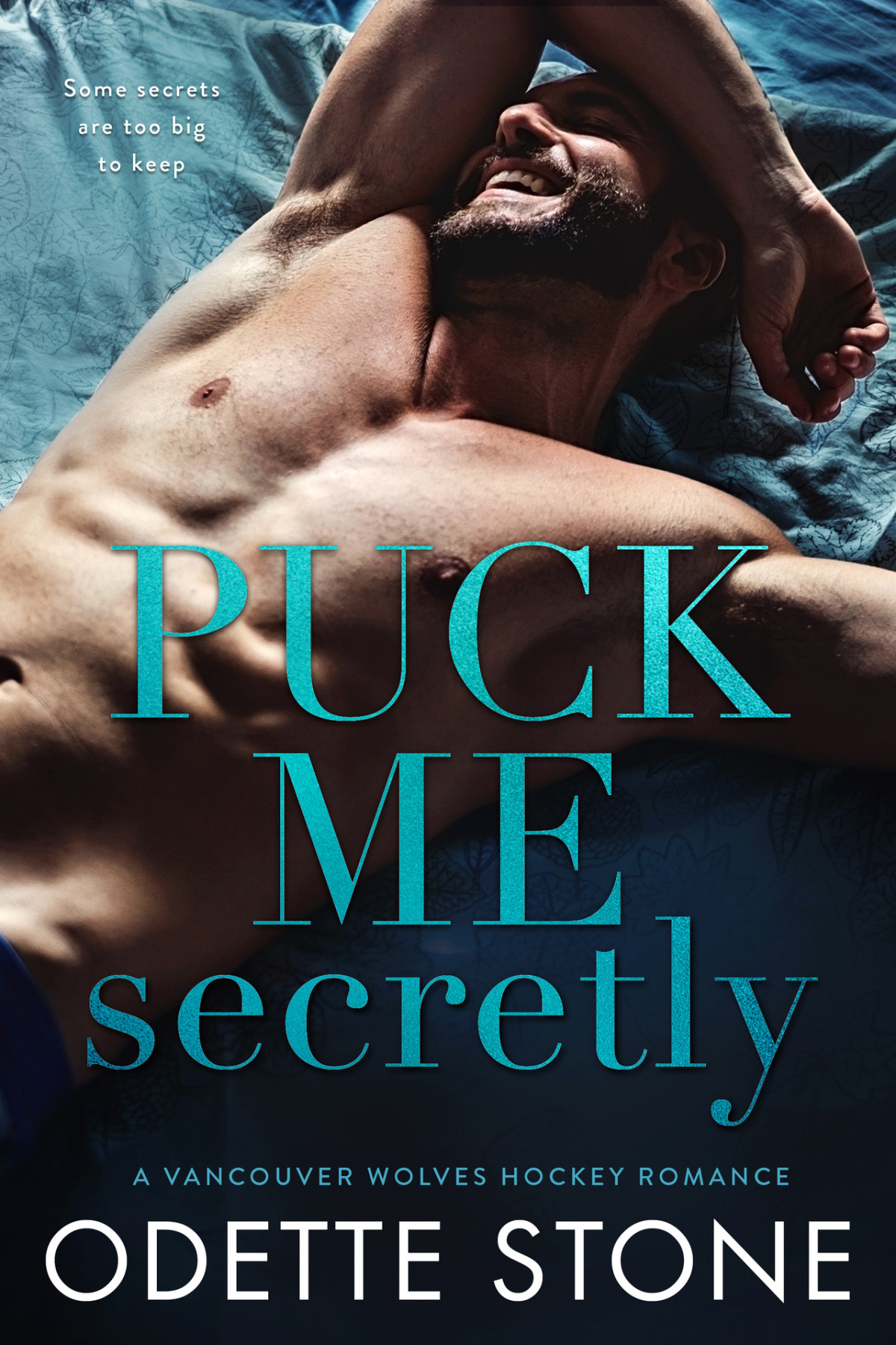 Puck Me Secretly A Vancouver Wolves Hockey Romance Book 1 2nd Edition Stone