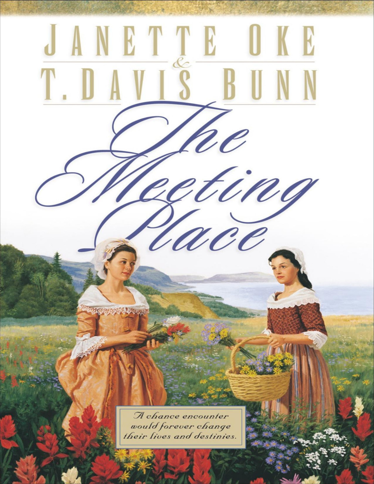 The Meeting Place T Davis Bunn