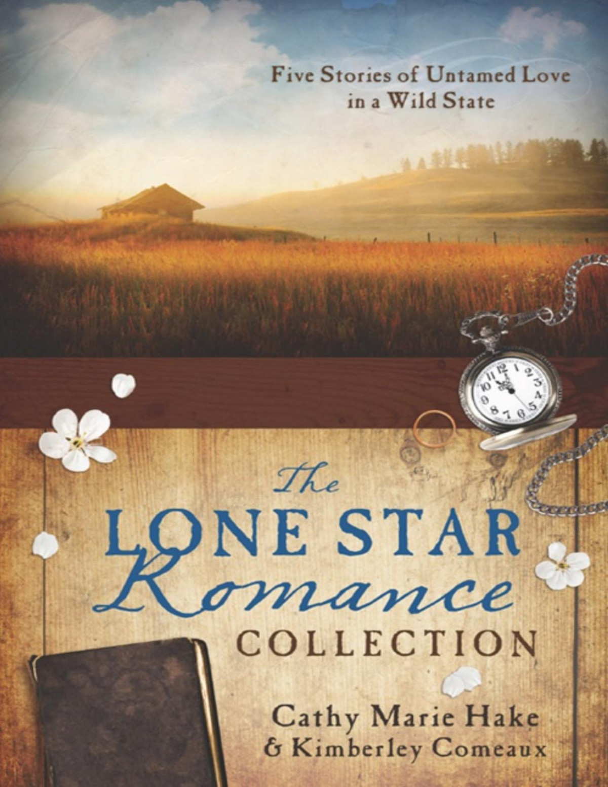 Lone Star Romance Collection Cathy Marie Hake