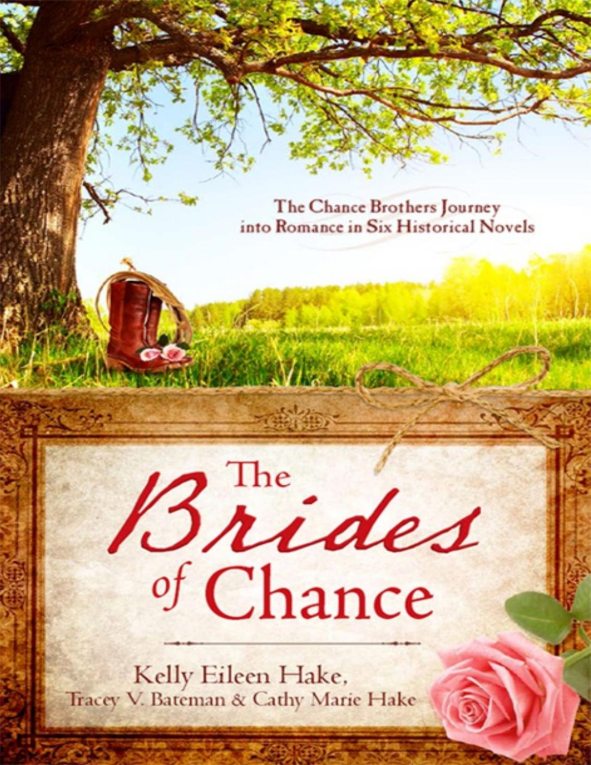 The Brides Of Chance Collection Kelly Eileen Hake Cathy Marie Hake Tracey V Bateman