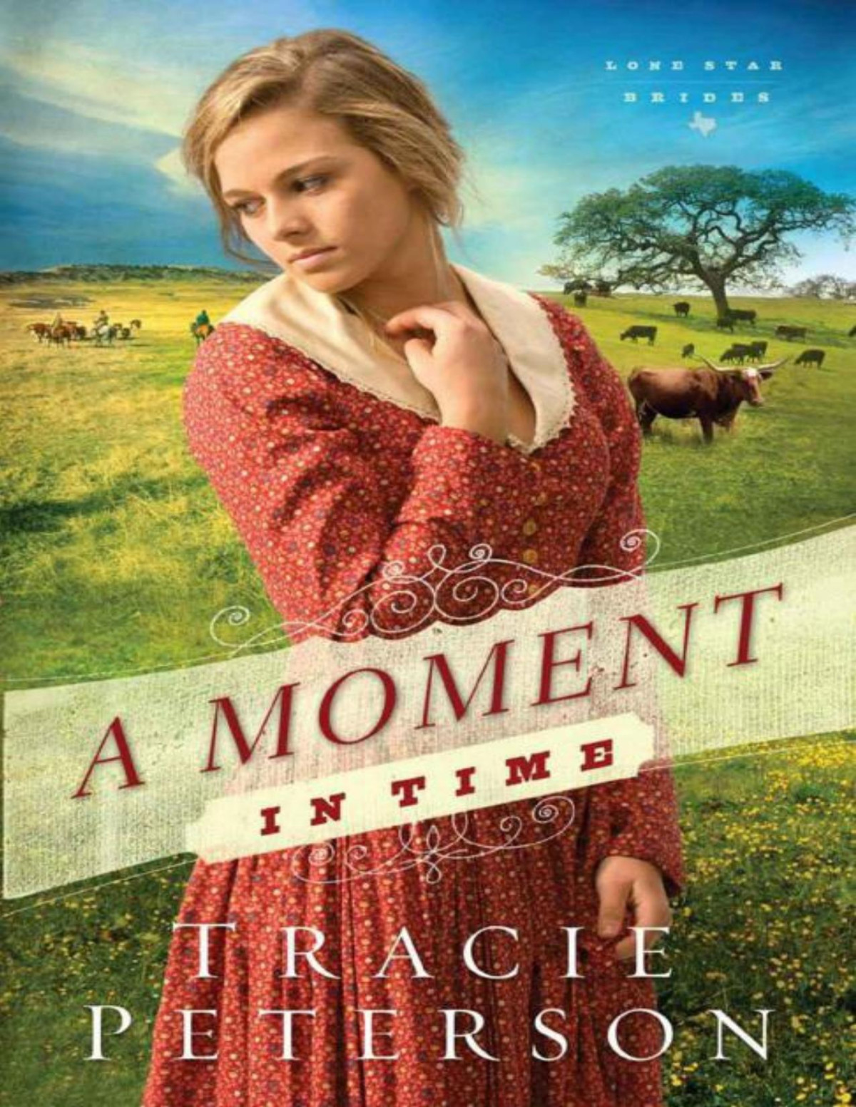 A Moment In Time Tracie Peterson