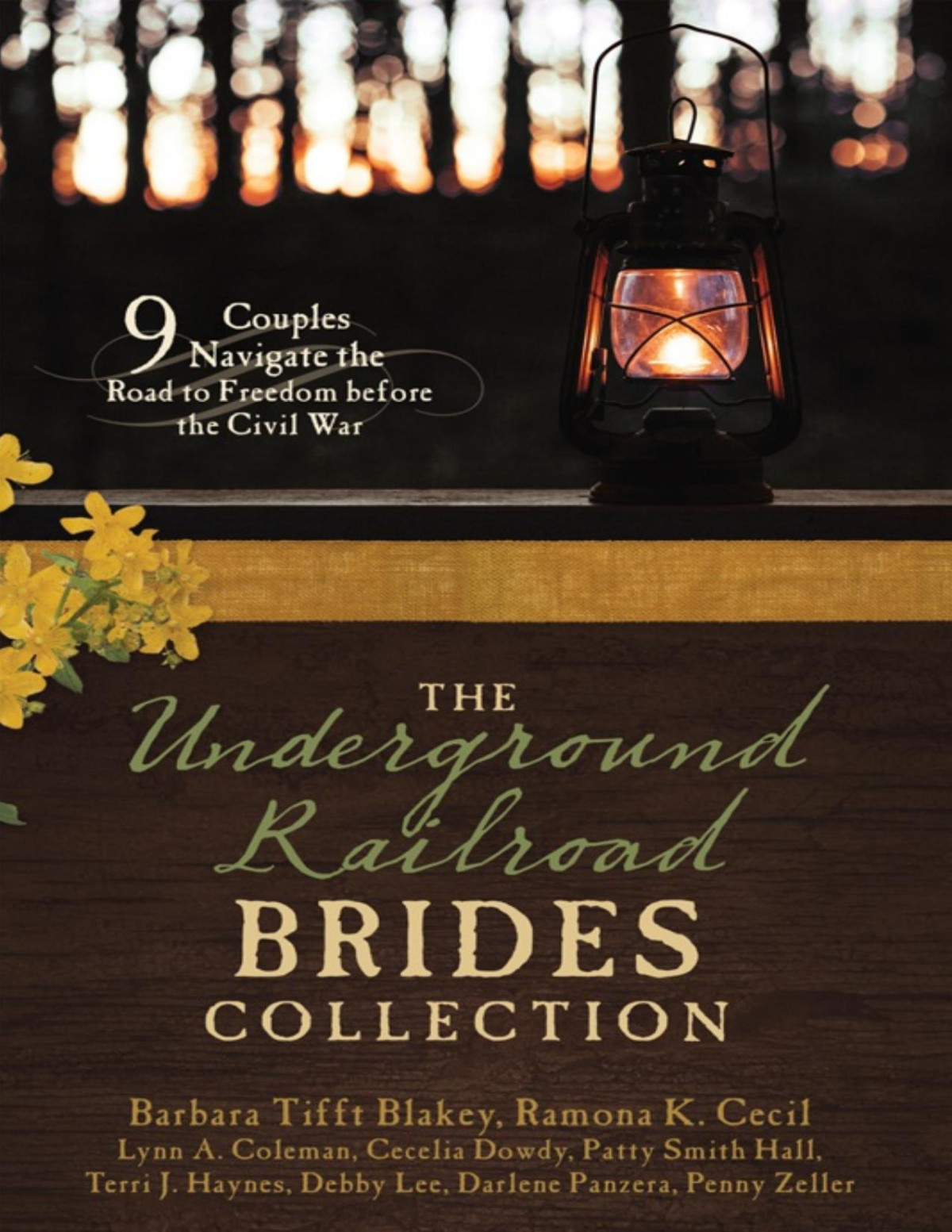 The Underground Railroad Brides Collection 9 Couples Navigate The Road To Freedom Before The Civil War Barbara Tifft Blakey