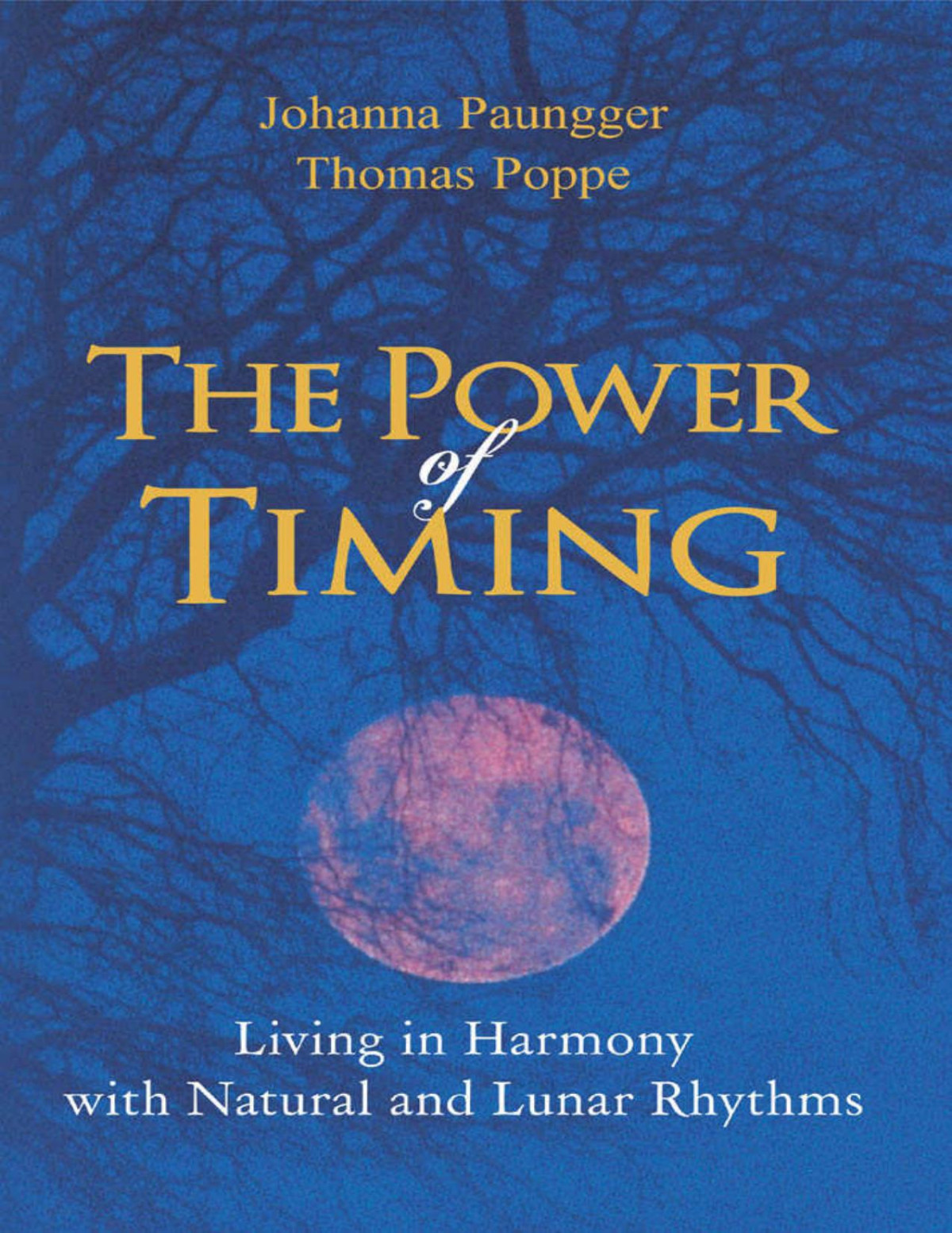 The Power Of Timing Johanna Paungger Thomas Poppe