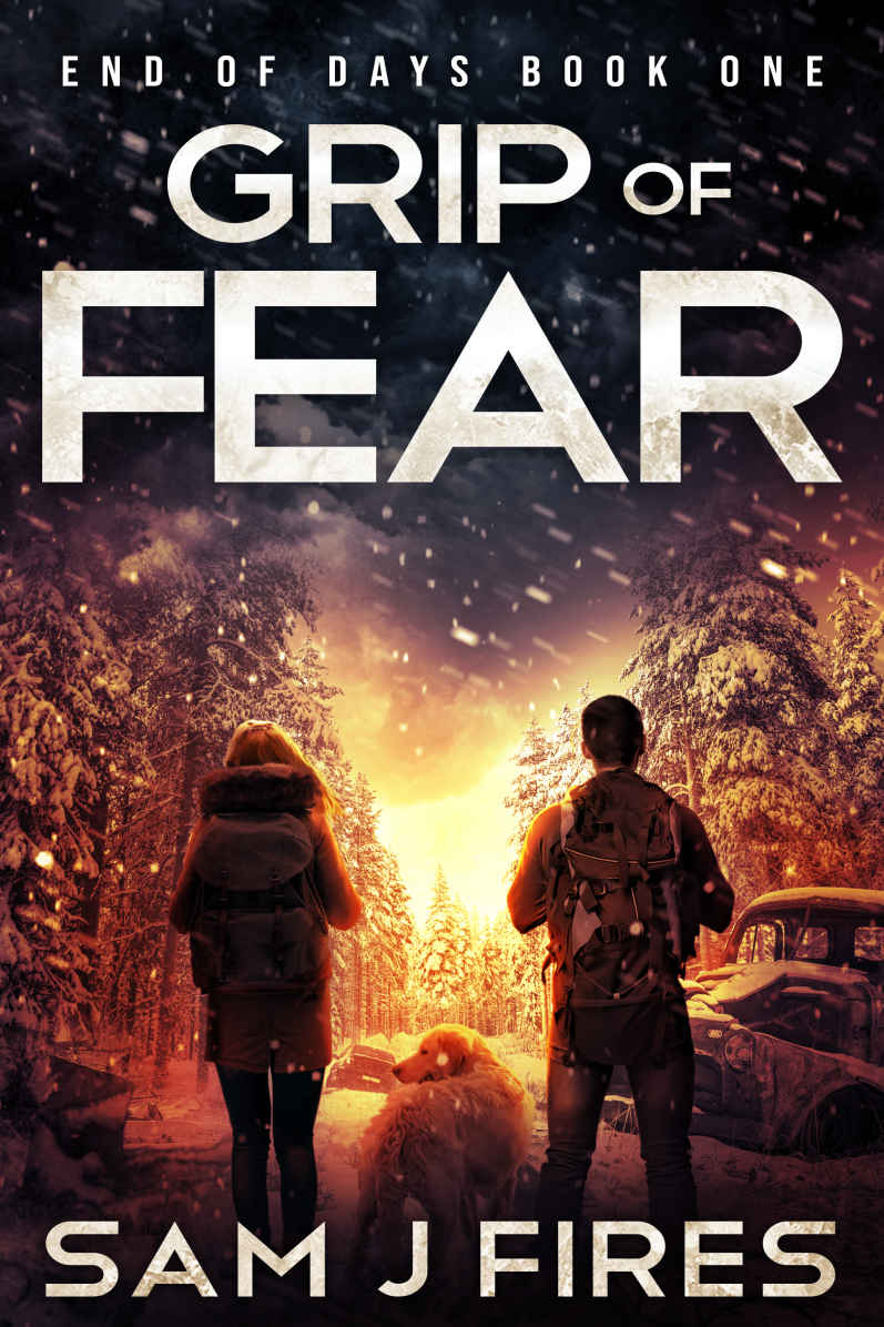 Grip Of Fear Sam J Fires