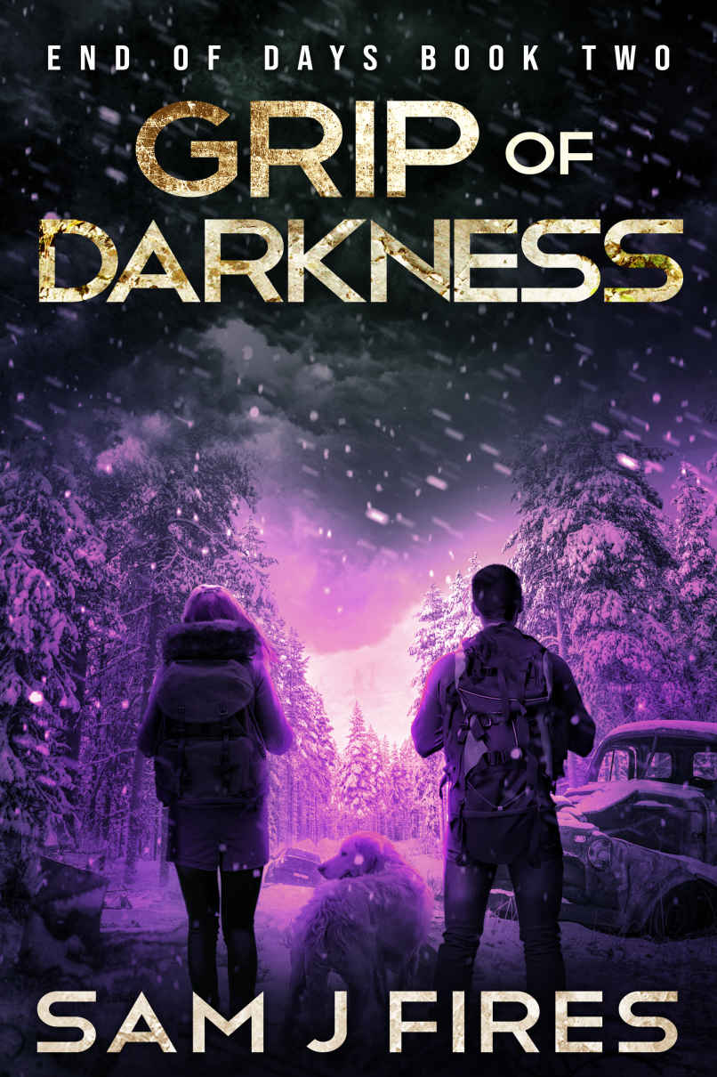 Grip Of Darkness Sam J Fires