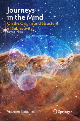 Journeys In The Mind On The Origins And Structure Of Subjectivity 2nd Edition Vincenzo Sanguineti