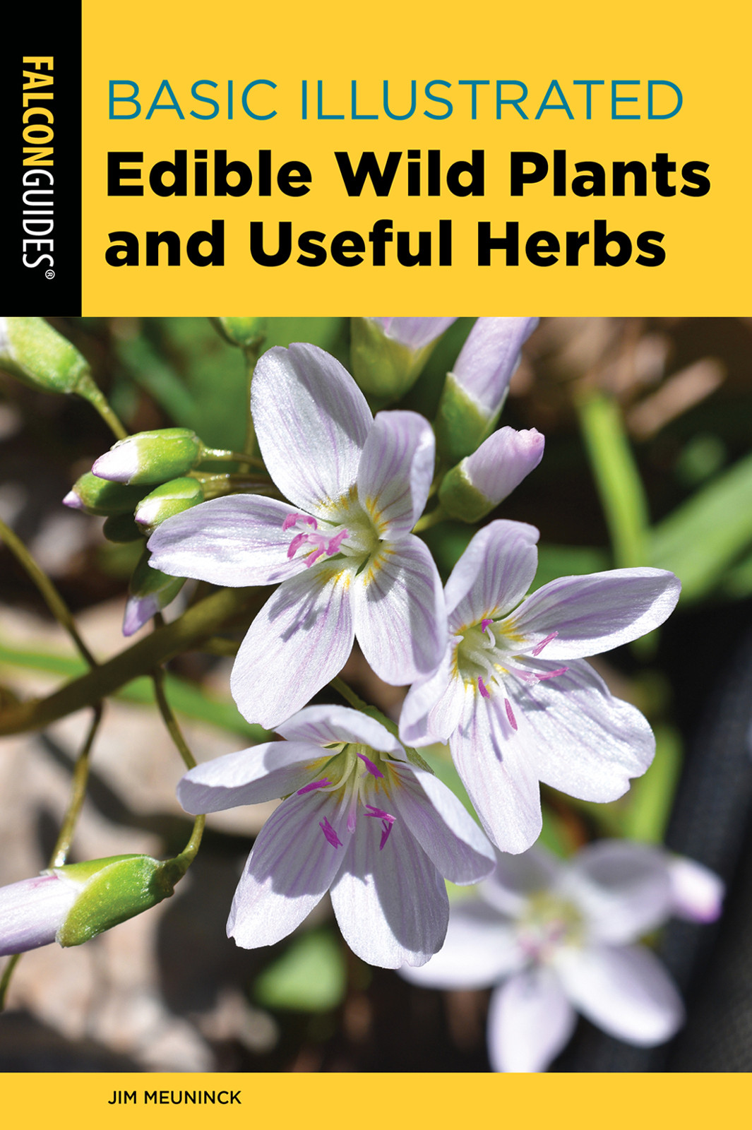 Falcon Guides Basic Illustrated Edible Wild Plants And Useful Herbs 3rd Jim Meuninck