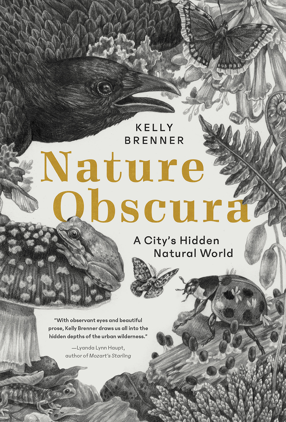 Nature Obscura Kelly Brenner