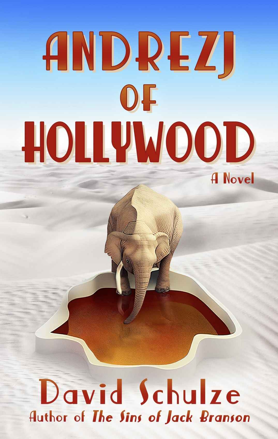 Andrezj Of Hollywood A Novel David Schulze