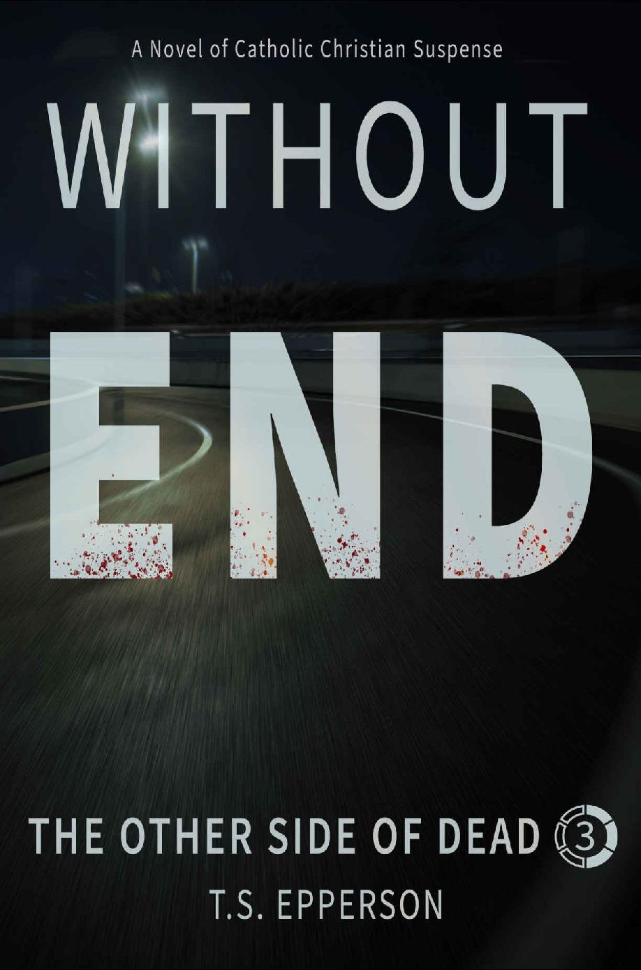 Without End The Other Side Of Dead Book 3 Ts Epperson