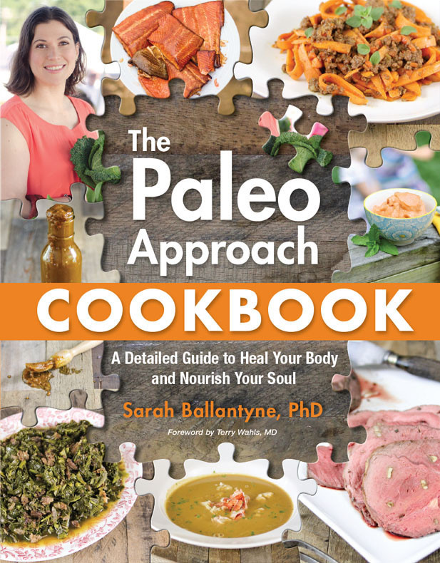 The Paleo Approach Cookbook A Detailed Guide To Heal Your Body And Nourish Your Soul Sarah Ballantyne
