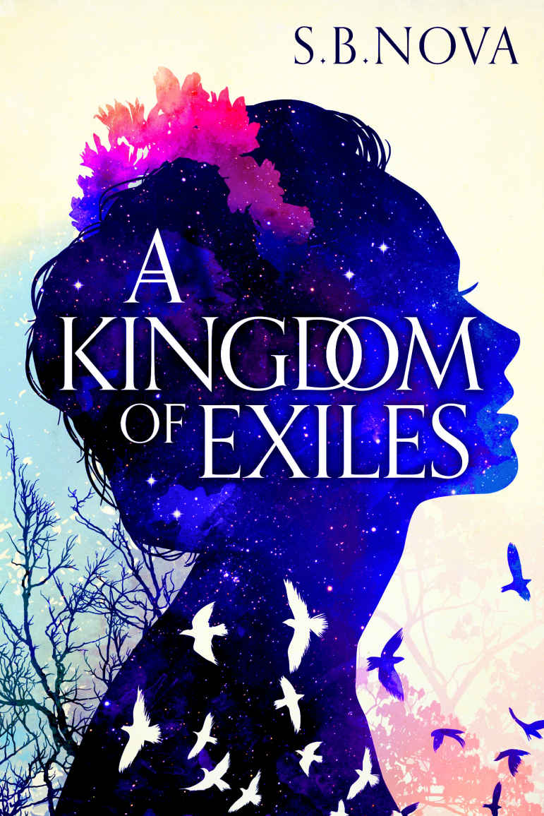 A Kingdom Of Exiles A Fantasy Romance The Outcast Series Book 1 Sb Nova