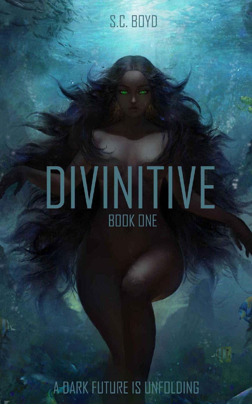 Divinitive Book One 1st Edition Sc Boyd