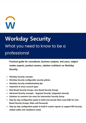 Workday Security What You Need To Know To Be A Professional Tik Loon Lim
