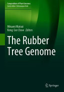 The Rubber Tree Genome Minami Matsui Kengsee Chow