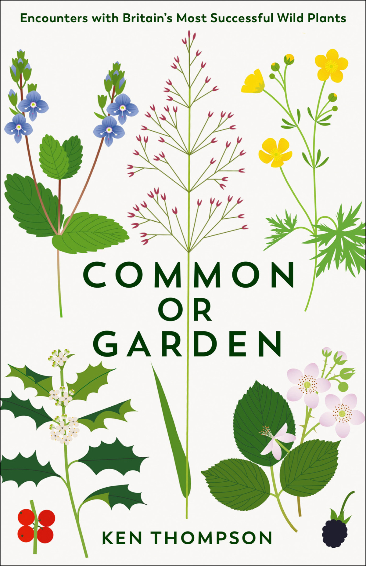 Common Or Garden Encounters With Britains 50 Most Successful Wild Plants Ken Thompson