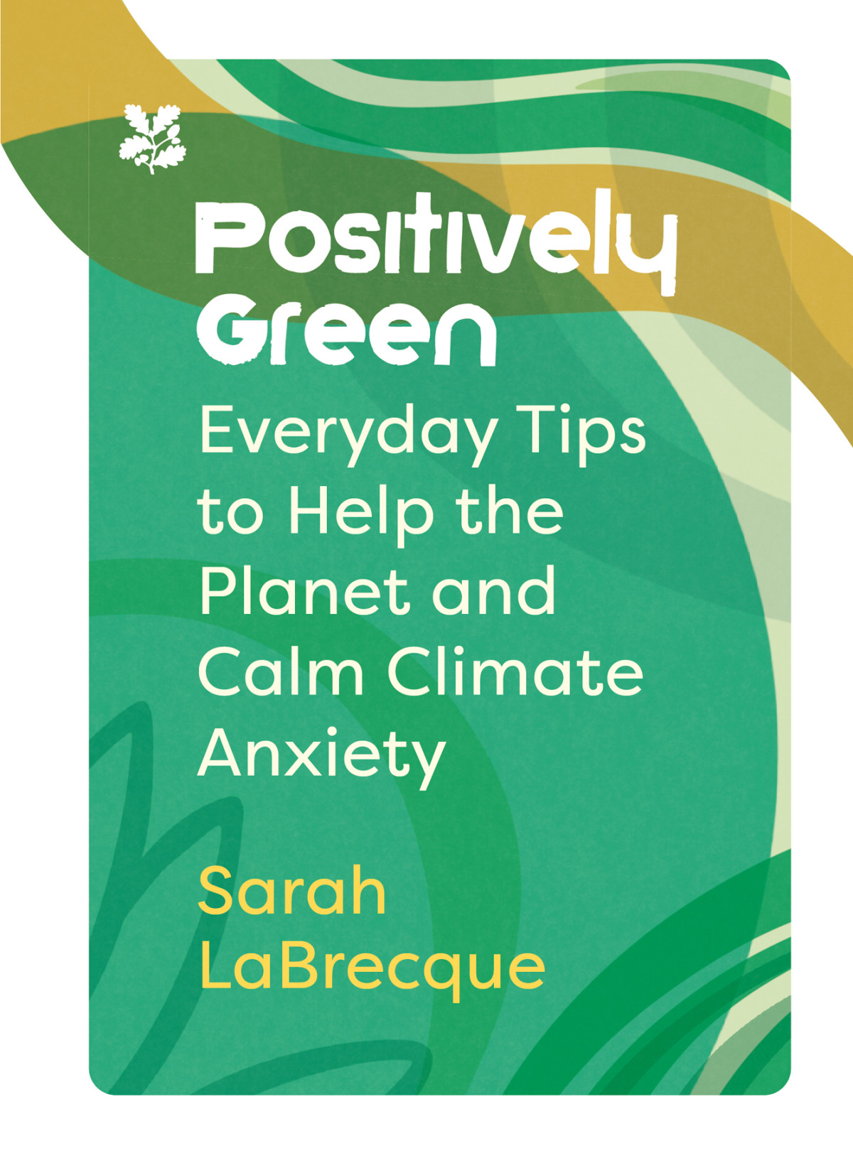 Positively Green Everyday Tips To Help The Planet And Calm Climate Anxiety Sarah Labrecque