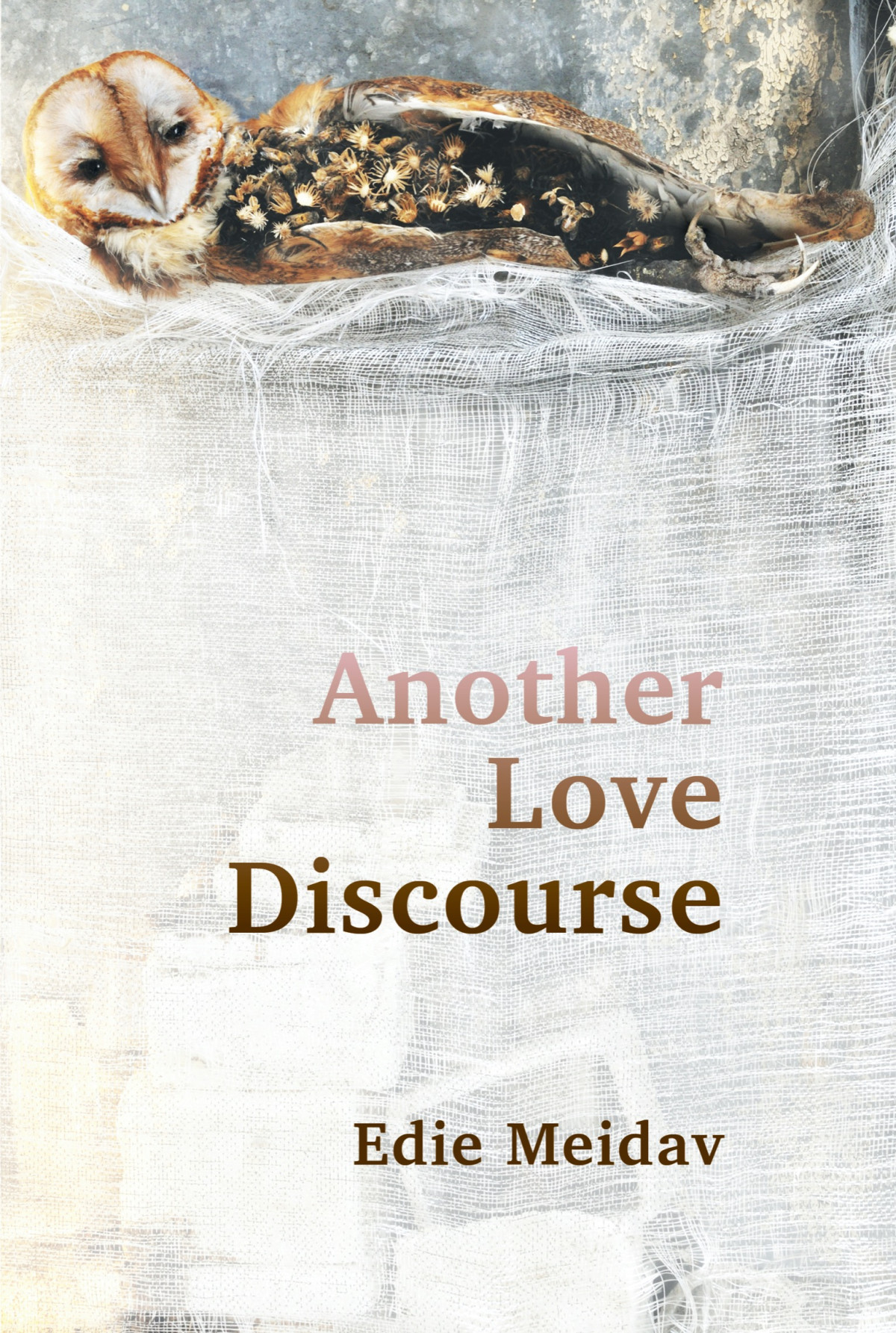 Another Love Discourse Edie Meidav