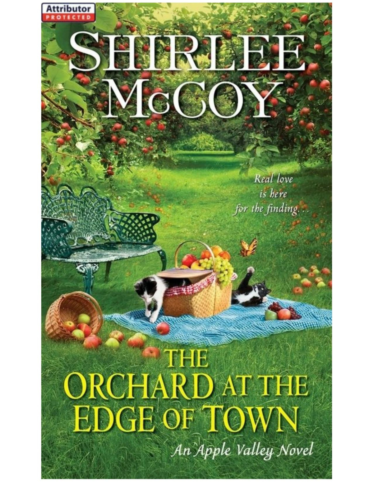 The Orchard At The Edge Of Town An Apple Valley Novel Shirlee Mccoy