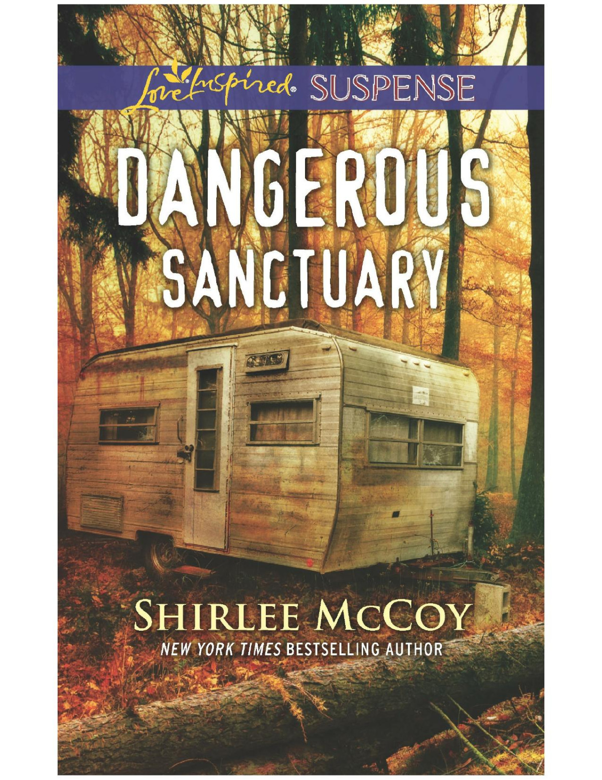 Dangerous Sanctuary Shirlee Mccoy