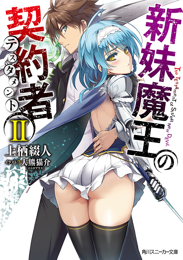 The Testament Of Sister New Devil Volume 02 Tetsuto Uesu