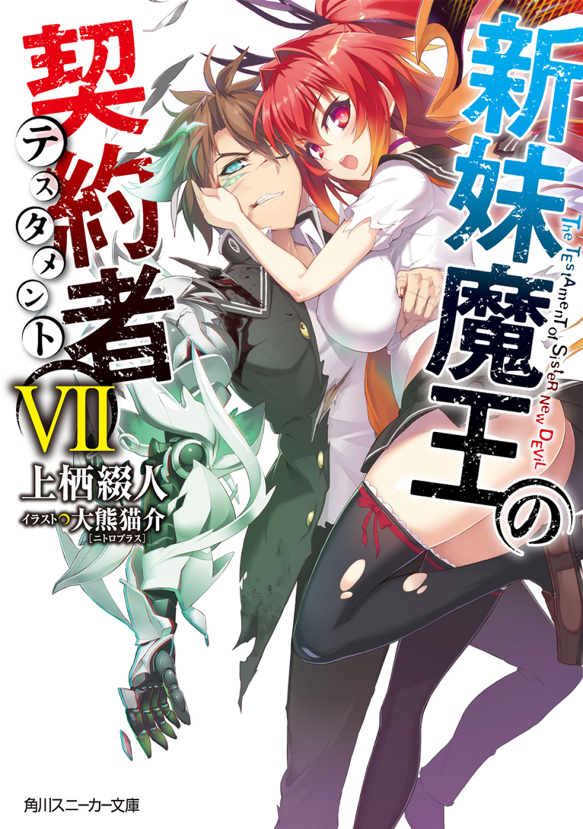 The Testament Of Sister New Devil Volume 07 Ookuma Nekosuke