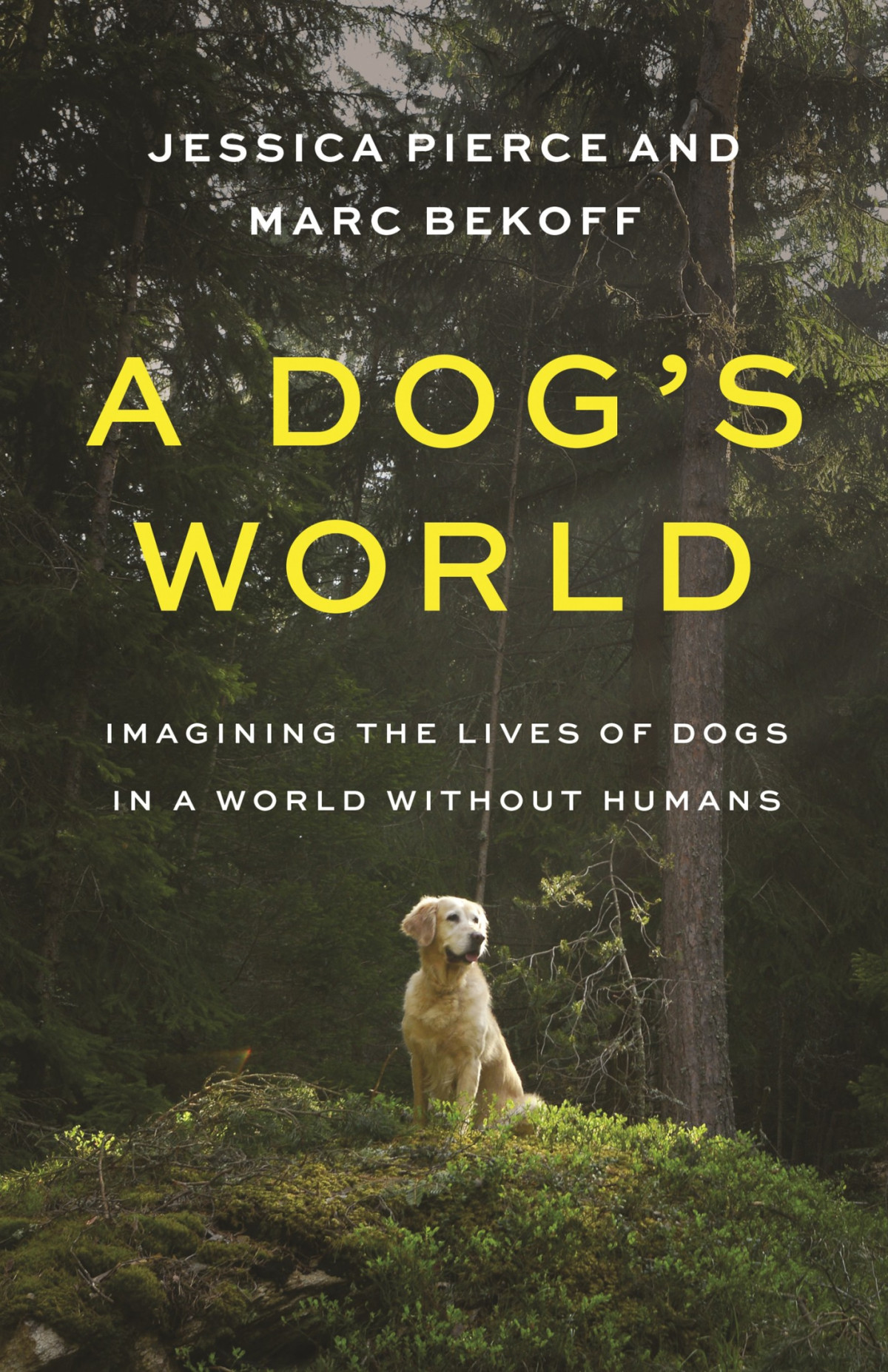 A Dogs World Imagining The Lives Of Dogs In A World Without Humans Jessica Piercemarc Bekoff