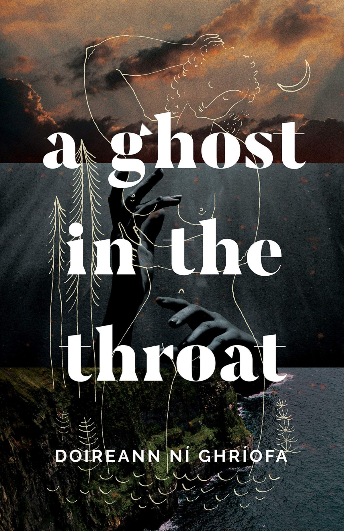 A Ghost In The Throat Doireann N Ghrofa