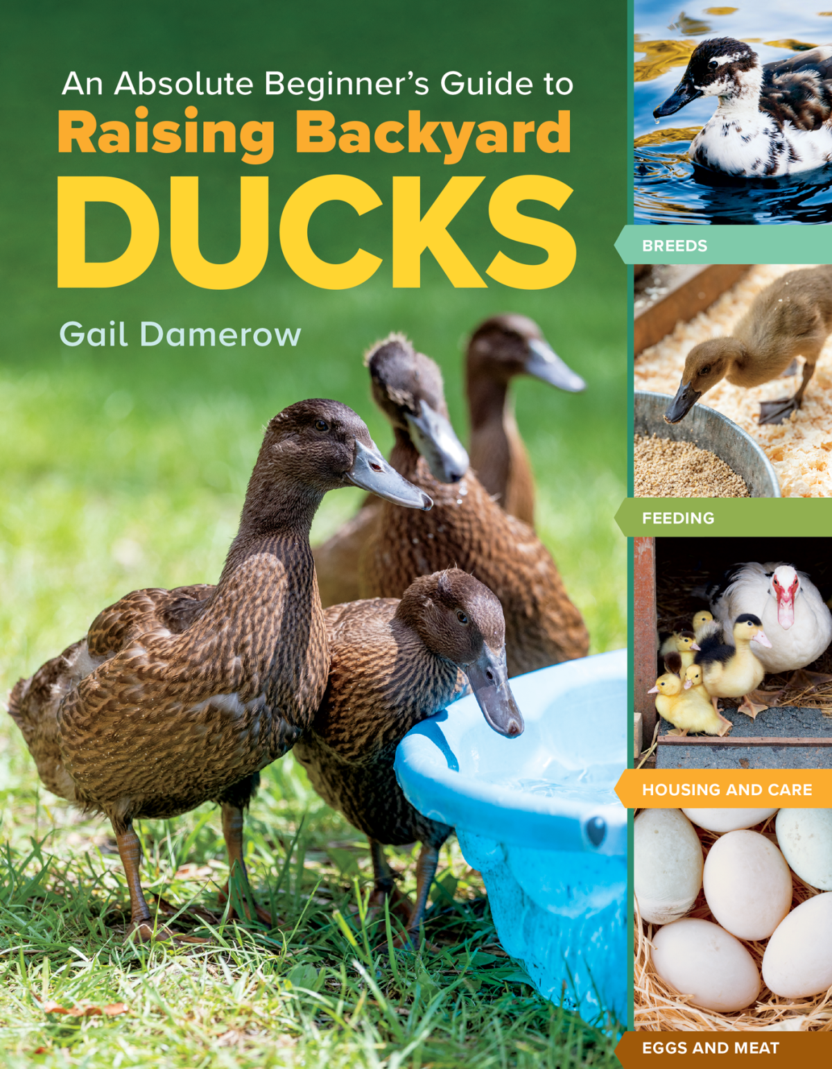An Absolute Beginners Guide To Raising Backyard Ducks Gail Damerow