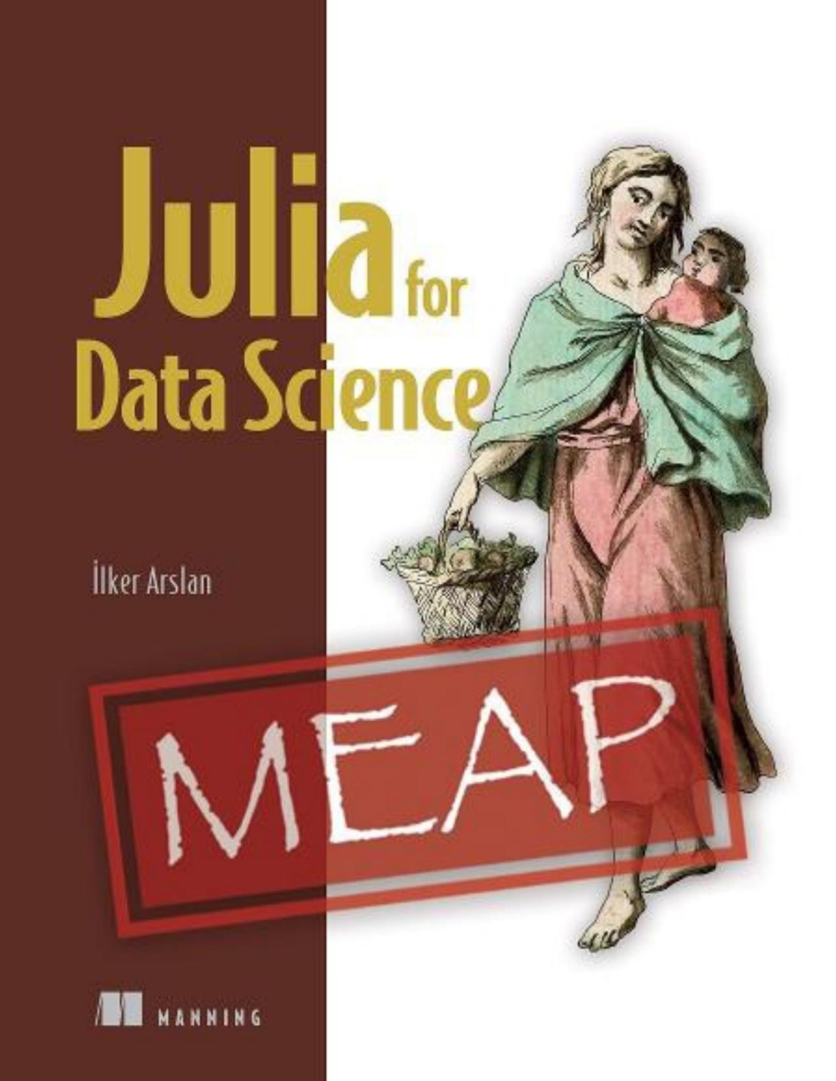 Julia For Data Science Meap V03 Chapters 1 To 6 Of 20 Lker Arslan