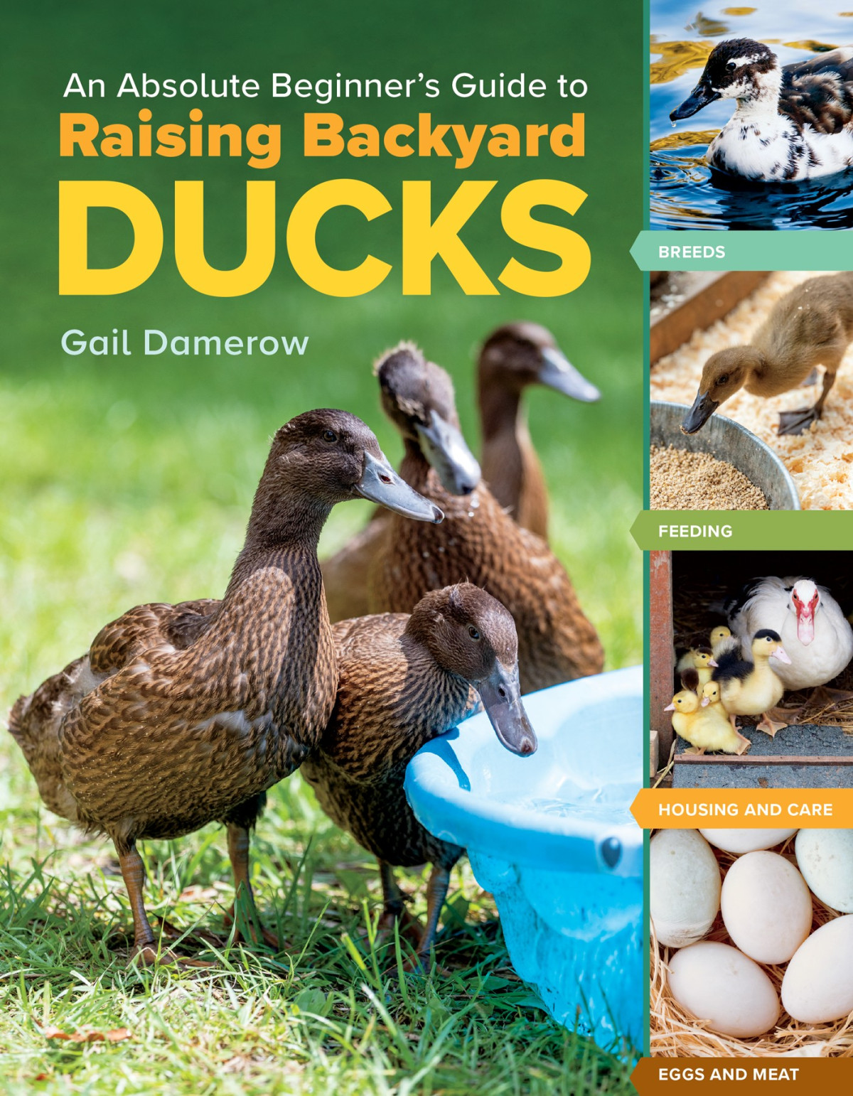 An Absolute Beginners Guide To Raising Backyard Ducks Gail Damerow