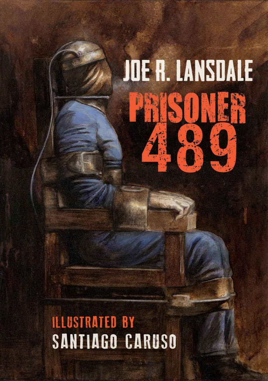 Prisoner 489 Black Labyrinth Book 2 Joe Lansdale