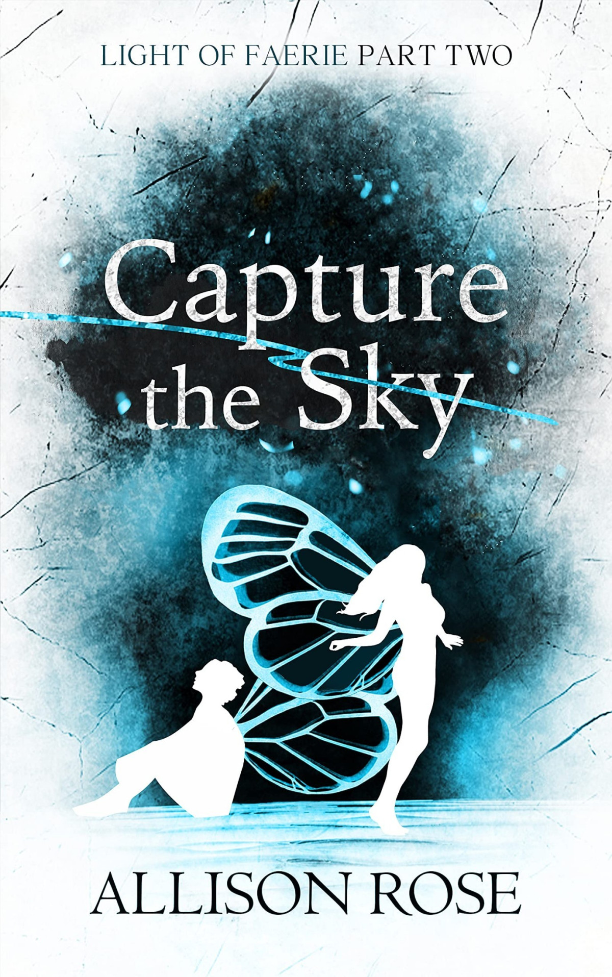 Capture The Sky Allison Rose