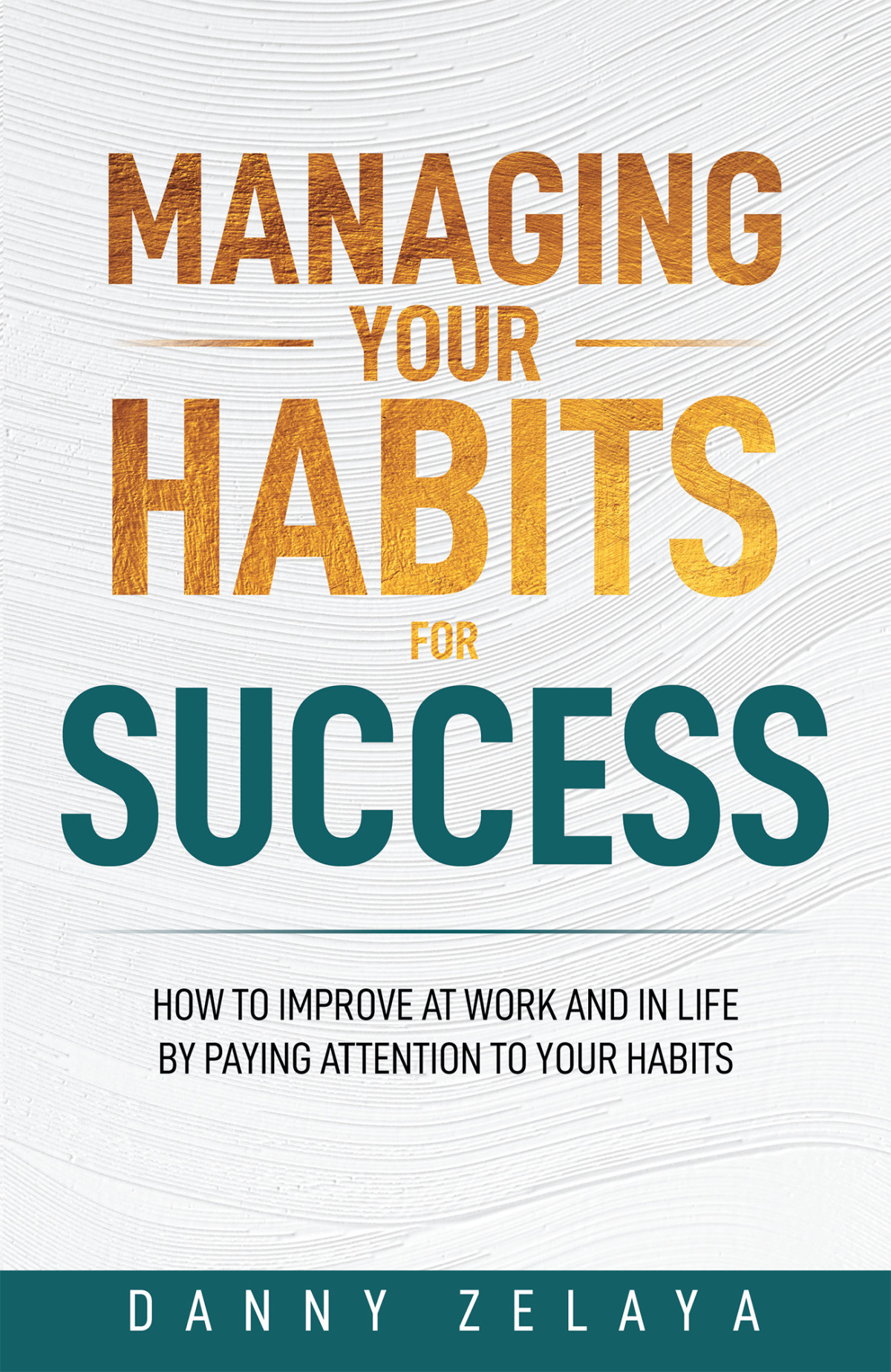 Managing Your Habits For Success How To Improve At Work And In Life By Paying Attention To Your Habits Danny Zelaya