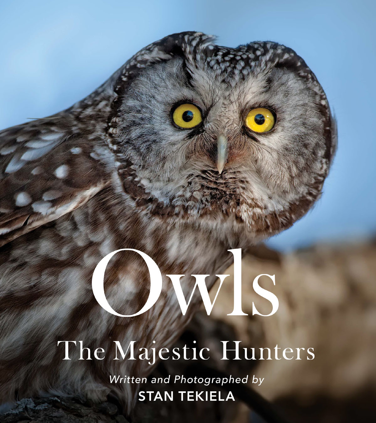 Owls The Majestic Hunters Stan Tekiela
