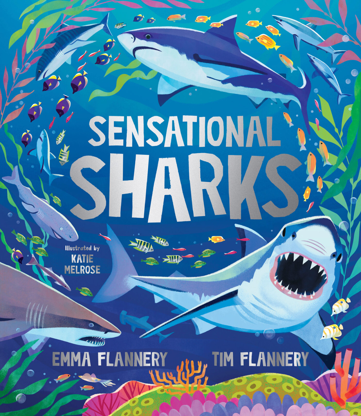 Sensational Sharks 1st Edition Katie Melrose