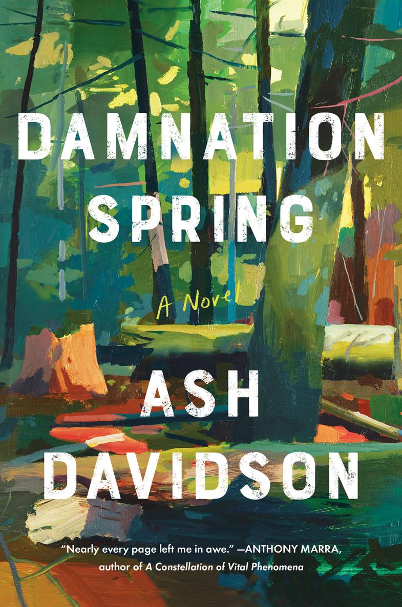 Damnation Spring Ash Davidson