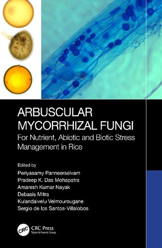 Arbuscular Mycorrhizal Fungi For Nutrient Abiotic And Biotic Stress Management In Rice Periyasamy Panneerselvam
