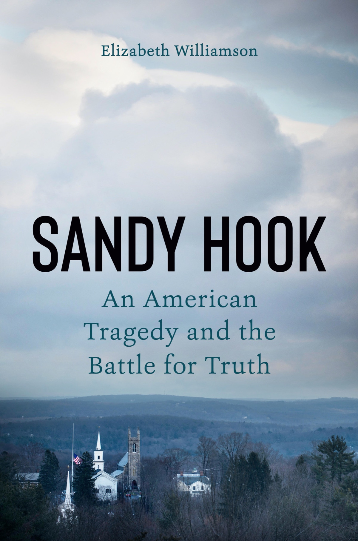 Sandy Hook An American Tragedy And The Battle For Truth Elizabeth Williamson