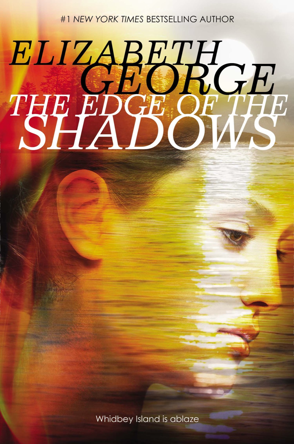 The Edge Of The Shadows Whitbey Island Saga Book 2 Elizabeth George