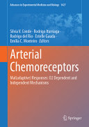 Arterial Chemoreceptors Maladaptive Responses O2 Dependent And Independent Mechanisms Slvia V Conde