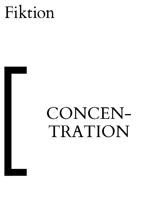 Concentration Ingo Niermann Ed
