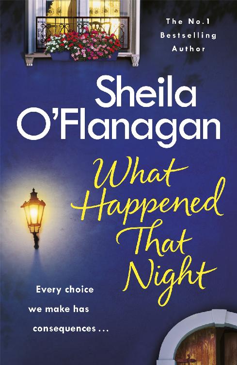 What Happened That Night Sheila Oflanagan