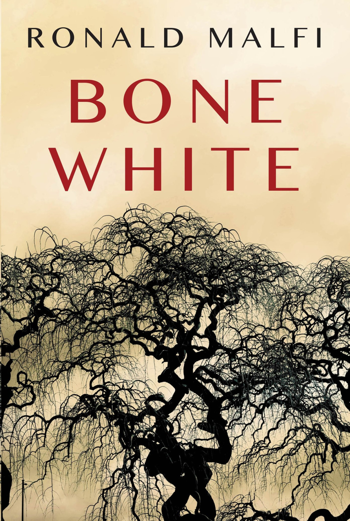 Bone White Ronald Malfi