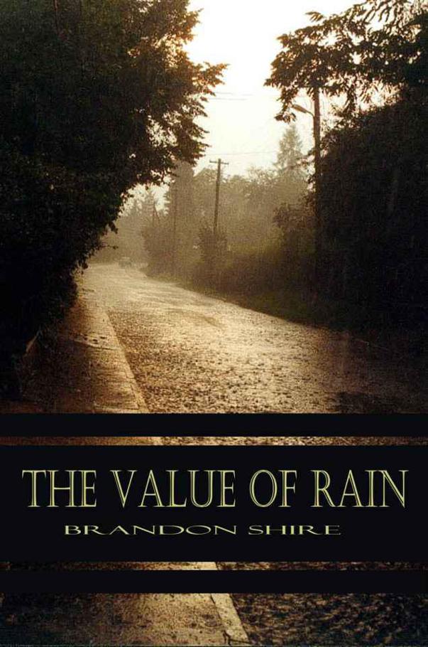 The Value Of Rain Shire Brandon