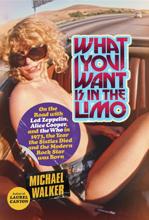 What You Want Is In The Limo On The Road With Led Zeppelin Alice Cooper And The Who In 1973 The Year The Sixties Died And The Modern Rock Star Was Born Michael Walker
