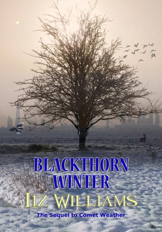 Blackthorn Winter Liz Williams